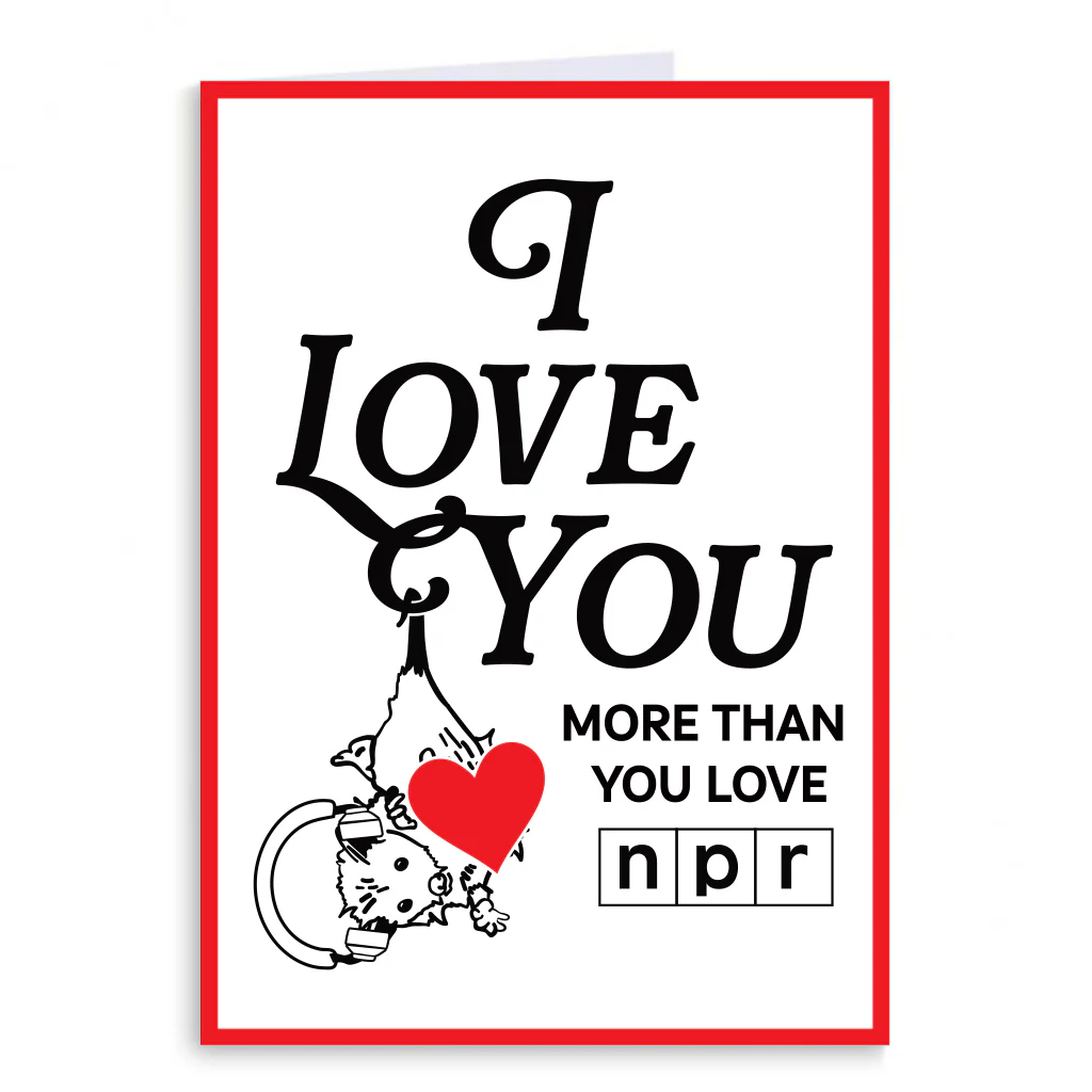 I Love You More Than You Love NPR Greeting Card